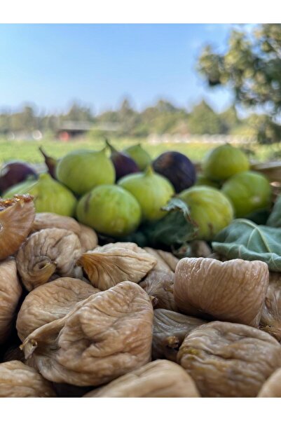 Enginar Mevsimi حجم التين المجفف جامبو |   1 كيلو