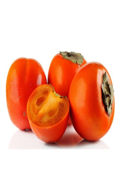 AAC TARIM Tüplü Çikolatalı Trabzon Hurması Fidanı (hacia Cinsi)