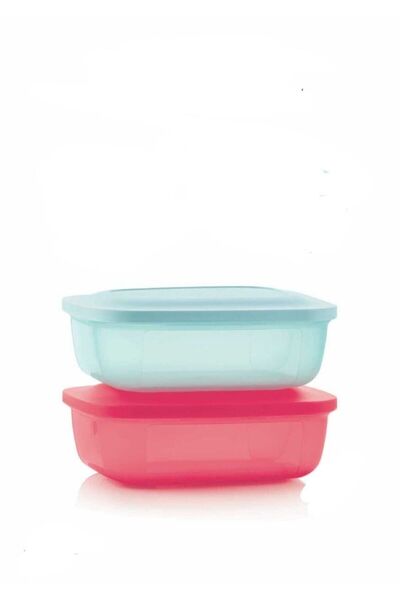 Tupperware 2'li Buzdolabı Saklama Ve Taşıma Kabı 500ml