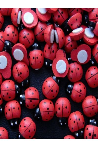 312 KONSEPT DIMENSIUNE MARE 50 bucăți 2,5 cm (20 mm) mărgele ornamentale adezive mari din lemn pentru buburuză, un pachet