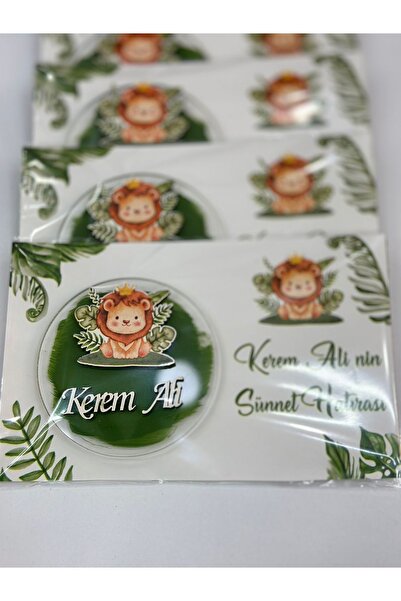 KRVTASARIM BOYALI ASLAN FİGÜRLÜ ARKA PLANLI HEDİYELİK MAGNET