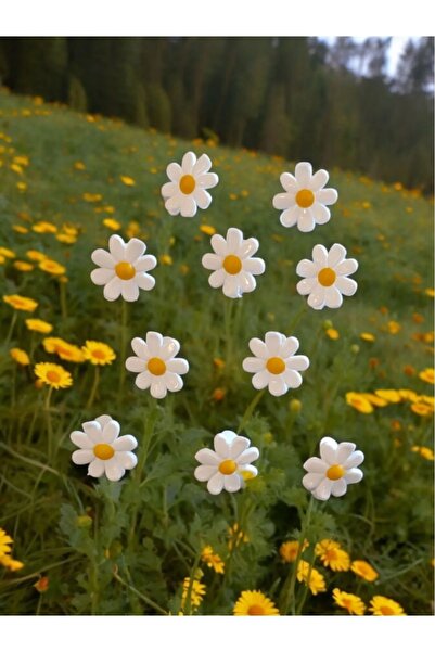 bisiylerbisiyler Papatyalı Çiçekli Kıskaç/mandal Toka 20 Adet