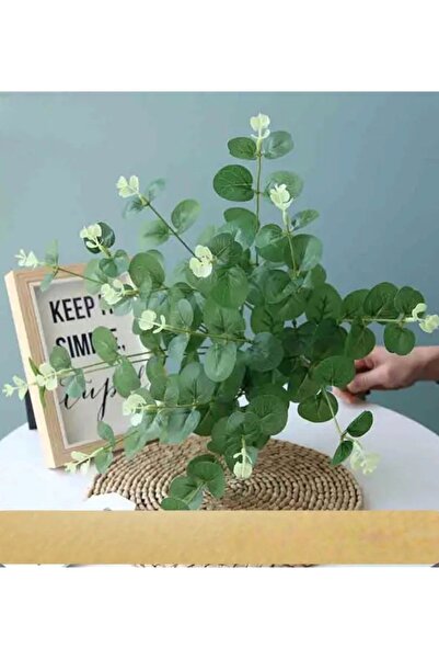 MD Aspiz Flowers 1 Adet Yapay 16 Dallı Lüx Okaliptus Bitkisi __ Saksısız Demeti Ağacı Sarkıt Sarmaşık Gelin Buketi