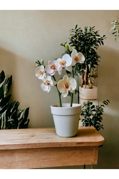 Smarta ORKIDE Design Set