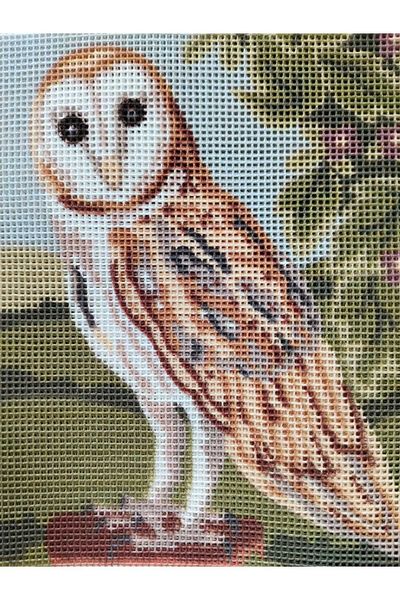 Anchor Printed Unprocessed Tapestry Panel Etamine Owl Patterned 14x18cm