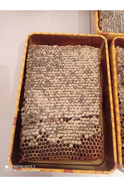 Bingöl Balı Yaşam 1 Kg Organik Bingöl Petek Balı