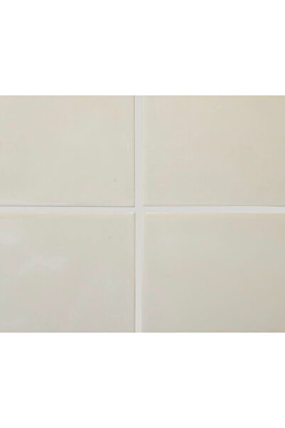 success FLEX SATEN GRİ DERZ DOLGU 1 KG