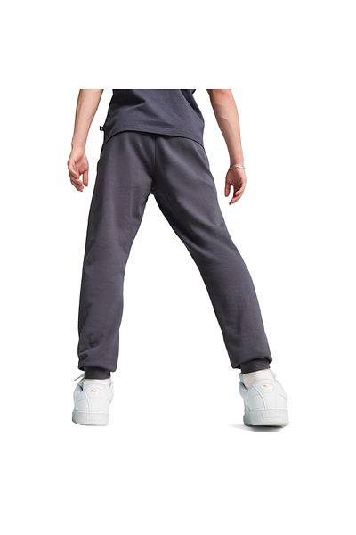 Puma 67598069 Μοντέλο Φούτερ