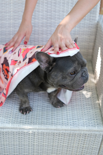 moris home DİJİTAL BASKILI KEDİ/KÖPEK KURULAMA HAVLUSU