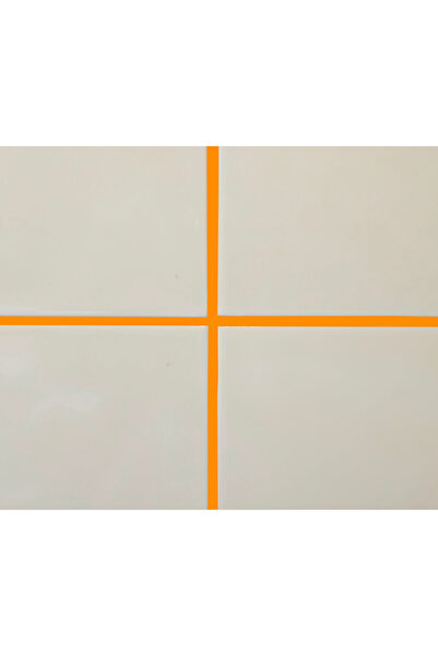 success Flex Turuncu Derz Dolgu 1 kg