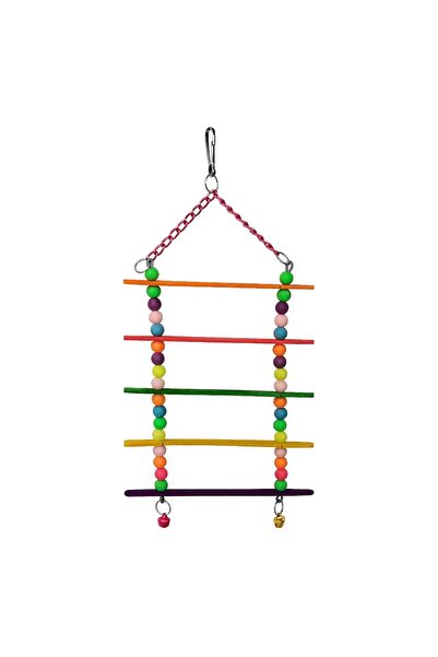 Renkli Boncuklu Ve Tünekli Kuş Merdiveni 11-18 cm