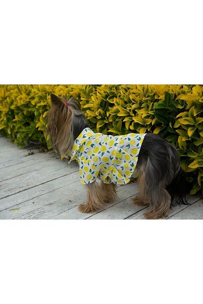 Oli and Lui Lemon Patterned Dog Dress