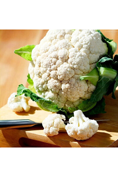 ZENGARDEN EV VE BAHÇE Erkenci kartopu karnabahar tohumu brassica oleracea