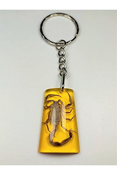 İskeçe Exclusive Akrep Fosilli Anahtarlık