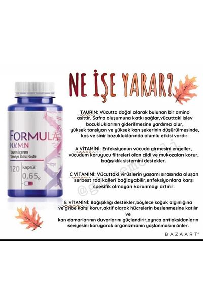 Siberian Wellness Siberian Wellnes Formula 4 N.v.m.n Food Supplement