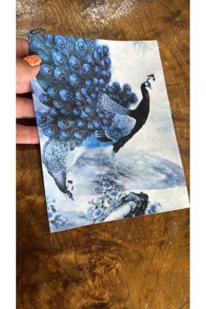 Gönülden Tasarım 18x14 cm Paun - Armadik šivaća aplikacija plava