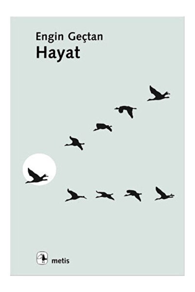 Metis Yayınları Hayat Engin Geçtan