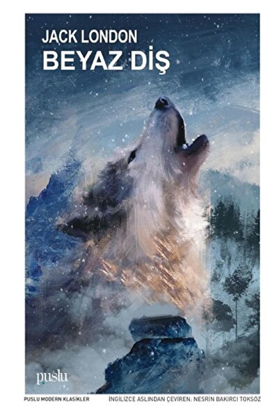 Puslu Yayıncılık Beyaz Diş