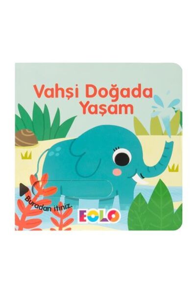 Eolo Kavram Kitapları Sürgülü Kitaplar - Vahşi Doğada Yaşam