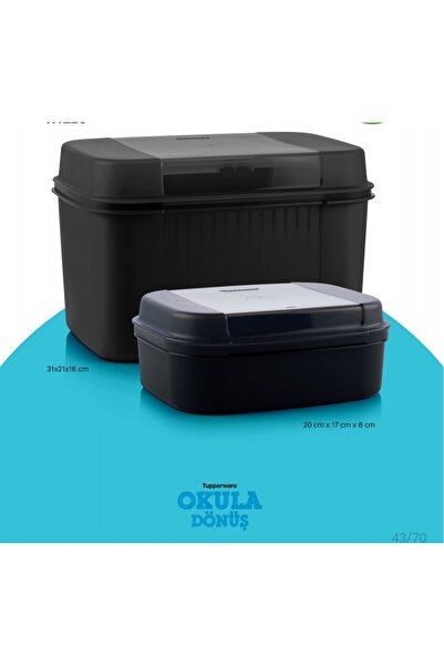 Tupperware Mega Kutu ve Şeker Kutu.