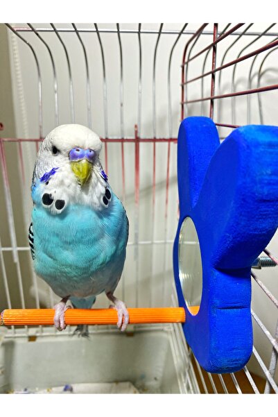 Ciko Kafes Colorful Rabbit Figured Bird Perch - Mirrored