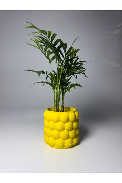 Xeir Decoration Renkli Bubble Skulent Saksı - Baloncuk Desen 9 CM