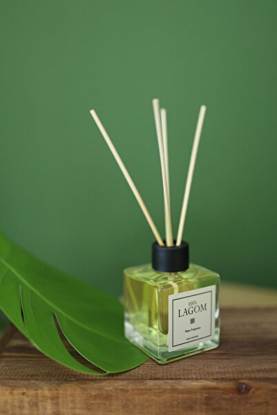 HSN LAGOM Oud-bambu Çubuklu Oda Kokusu-100ml Bambu Cubuklu Oda Kokusu Oud Çub...