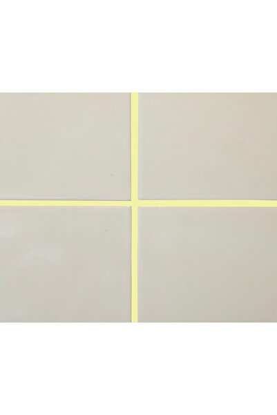 success Bahama Bej Flex Derz Dolgu 1 kg