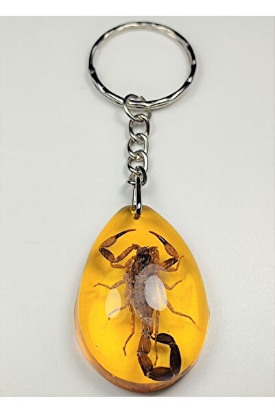 Genel Markalar Akrep Fosilli Anahtarlık