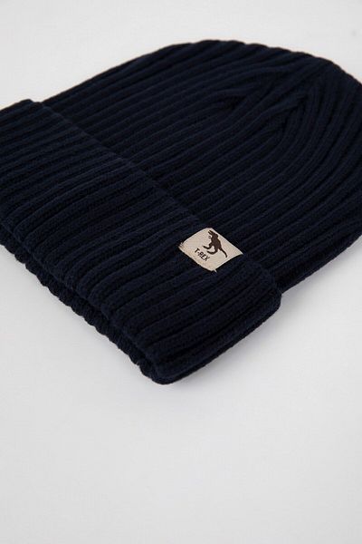 DeFacto Baby Boy Beret - Woven Label, Y6262A224WN