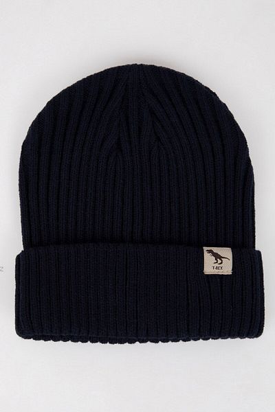 DeFacto Baby Boy Beret - Woven Label, Y6262A224WN