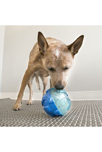 Kong Rewards L 17cm Award-Winning Dog Toy