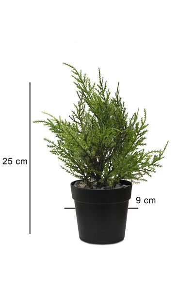 HOMİNG Homing Brown Potted Artificial Leylandi Tree 25 cm 241588