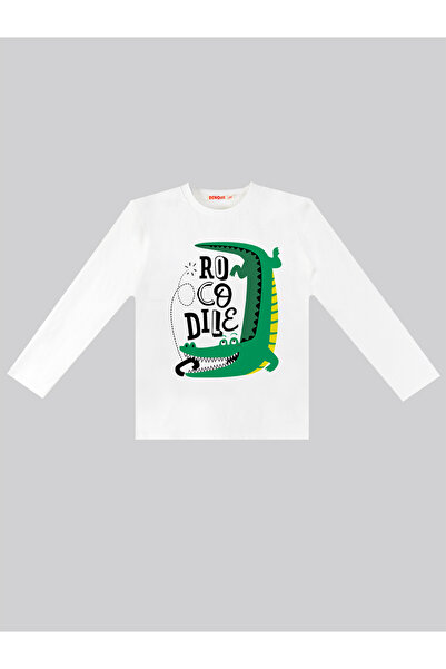 Denokids Boy's Long Sleeve Crocodile T-shirt