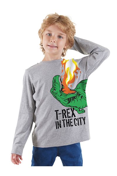 Denokids Boy's T-rex Long Sleeve T-shirt