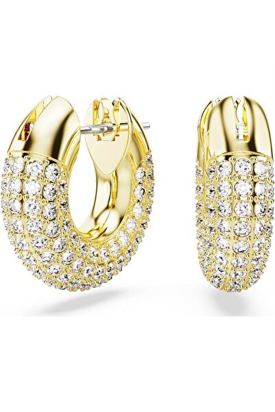 Swarovski 5689685 Swarovski Küpe Ss Dextera:Pe Hoop Cry/Gos 5689685