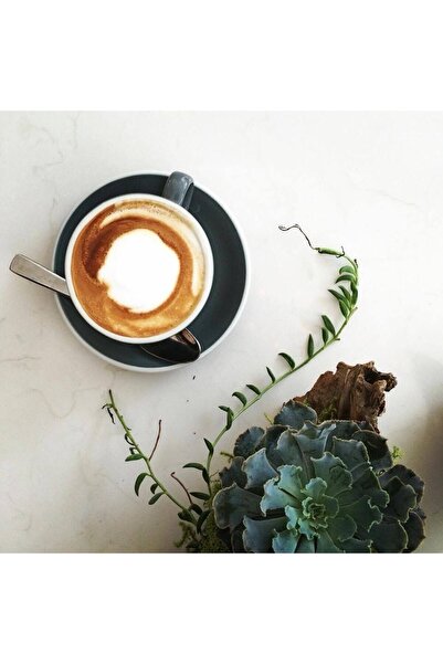 Rioba Kapsül Kahve Espresso Delicato 11adet Kapsül Kahve Espresso Ve Kakaonun Harmonisi