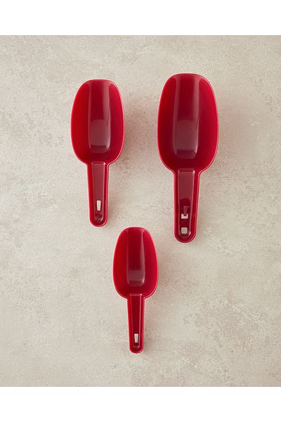 English Home Arnie Claret Red Plastic Measuring Spoon - Set of 3 22x7,8x5 cm
