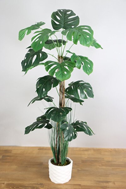Yapay Çiçek Deposu Yapay Monstera Ağacı 105 Cm Krem Saksılı