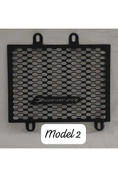 Bajaj Dominatör Aksesuar Koruma Demiri (RADYATÖR)