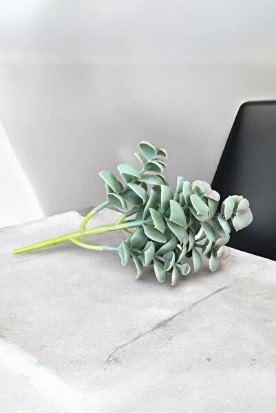 YAPAY ÇİÇEKÇİNİZ Gerçek Dokulu Yapay Kaktüs Sukulent