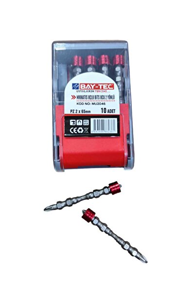 FDN bay-tec mıknatıs uçlu bits ucu 2 yönlü pz 2 x65mm 1 adet