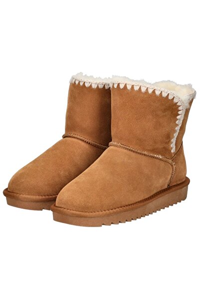 ARA Εξομάλυνση