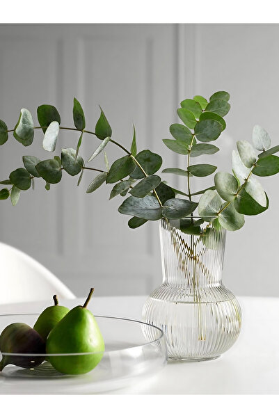 TAGESAN Şık ve Zarif Dekoratif Cam Vazo - Modern Ev Dekorasyonu İçin