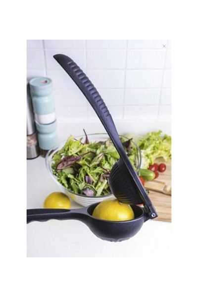 Natural Lemon Patterned Cast Iron Juicer