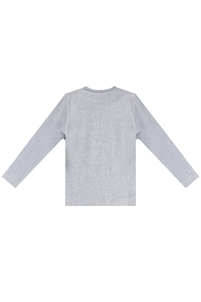 Denokids Boy's T-rex Long Sleeve T-shirt