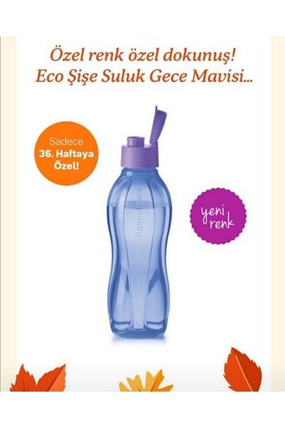 Tupperware 750 ml Bottle.