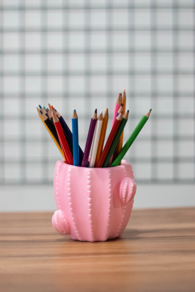 PAYATASARIM KAKTÜS KALEMLİK PEMBE