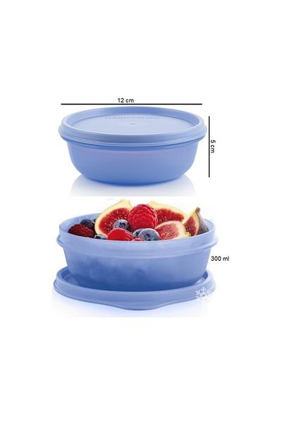 Tupperware Refrigerator Storage Container 2x300 ml Candy Containers Hsgl