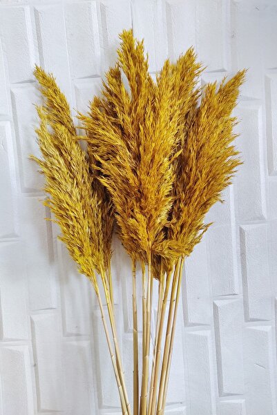EÇiçek Şoklanmış Pampas Otu Sarı Renk